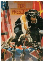 Sevimli Maymun Kartpostalı KRT2682 - Gökçekoleksiyon