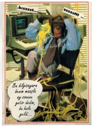 Sevimli Maymun Kartpostalı KRT2684 - Gökçekoleksiyon