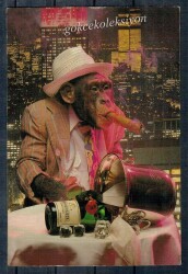 Sevimli Maymun Kartpostalı KRT2688 - Gökçekoleksiyon