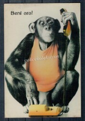 Sevimli Maymun Kartpostalı KRT2690 - Gökçekoleksiyon