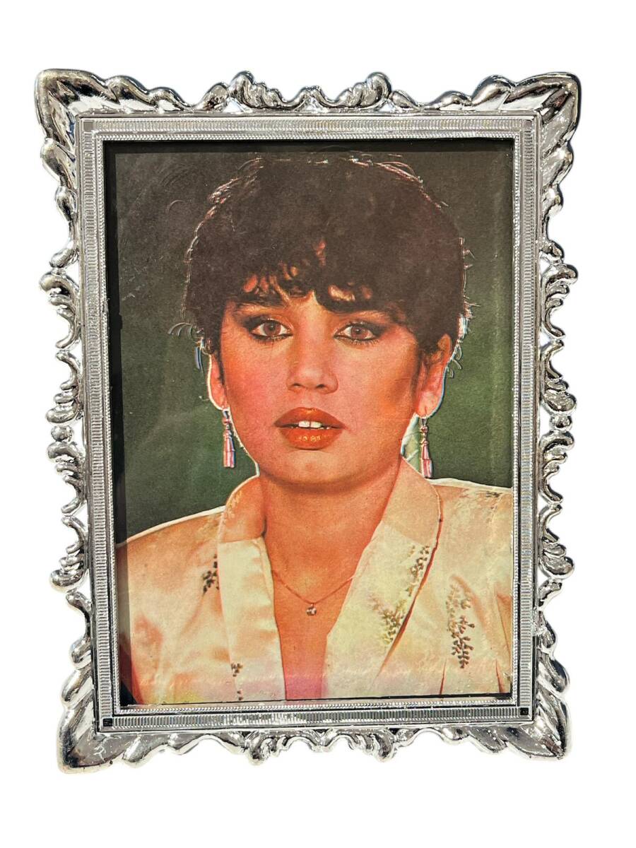 Sezen Aksu Çerçeveli Resim (Orta Boy) KRT24120 - 3