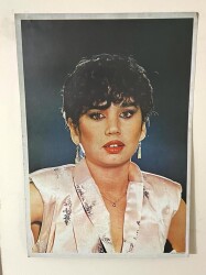 Sezen Aksu Dev Boy Poster 50x70cm BRKT43 - Gökçekoleksiyon