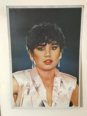 Sezen Aksu Dev Boy Poster 50x70cm BRKT43 - 1
