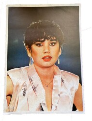 Sezen Aksu Dev Boy Poster 50x70cm BRKT46 - Gökçekoleksiyon