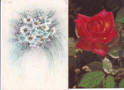 Simli Çiçek Temalı 2li Kartpostal KRT10738 - Gökçekoleksiyon