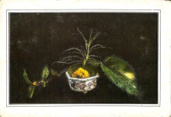 Simli Çiçek Temalı Kartpostal KRT13933 - Gökçekoleksiyon