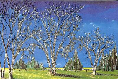 Simli Doğa Temalı Kartpostal KRT12711 - 1