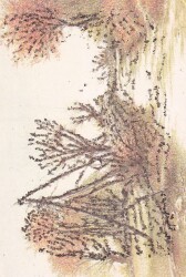 Simli Doğa Temalı Kartpostal KRT13504 - Gökçekoleksiyon