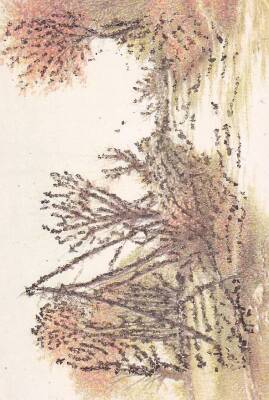 Simli Doğa Temalı Kartpostal KRT13504 - 1