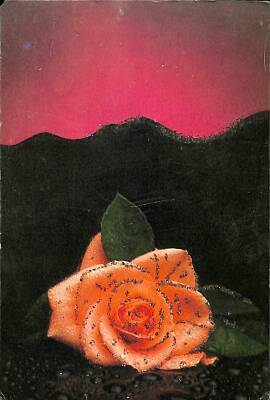 Simli Gül Kartpostal KRT18430 - 1