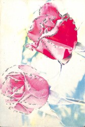 Simli Gül Kartpostal KRT18431 - Gökçekoleksiyon