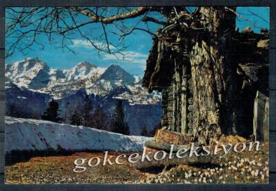 Simli Manzara Temalı Kartpostal KRT2759 - 1