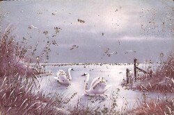 Simli Manzara Temalı Kartpostal (Küçük Boy) KRT21303 - Gökçekoleksiyon