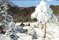 Simli Yılbaşı Kartpostal - glittery postcard KRT17958 - Gökçekoleksiyon