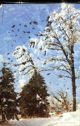 Simli Yılbaşı Kış Kartpostal - glittery postcard KRT17944 - Gökçekoleksiyon