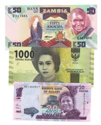 Malavi/Endonezya/Zambiya Yabancı Kağıt Para Lotu ÇİL YKP8348 - 