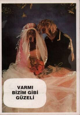 Şirin Köpek Kartpostalları KRT3348 - 1