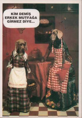 Şirin Köpek Kartpostalları KRT3901 - 1