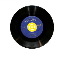 Mihrican Bahar - Zalim Almanya / Zeynebin Almanya'ya Mektubu PLAK (10/6) PLK23440 - Gökçekoleksiyon