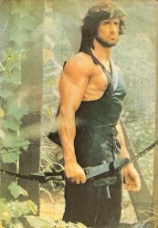 Slyvester Stallone Kartpostal (Küçük Boy) KRT22256 - Gökçekoleksiyon