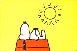 Snoopy Kartpostal (Küçük Boy) KRT23456 - Gökçekoleksiyon