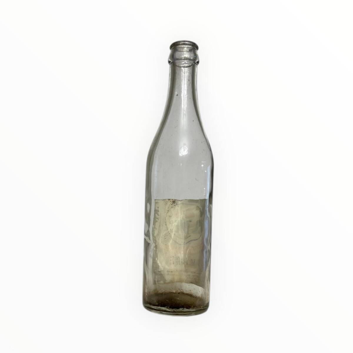 DİMES Vişne ( Tokat ) Meyve Suyu Şişesi 35cl #CMK1278 - 2