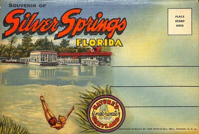 Souvenir Of Silver Springs Florida (1940 Akordiyon Şeklinde ) Kartpostal KRT13070 - 4