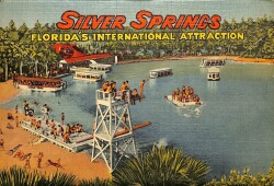 Souvenir Of Silver Springs Florida (1940 Akordiyon Şeklinde ) Kartpostal KRT13070 - 5
