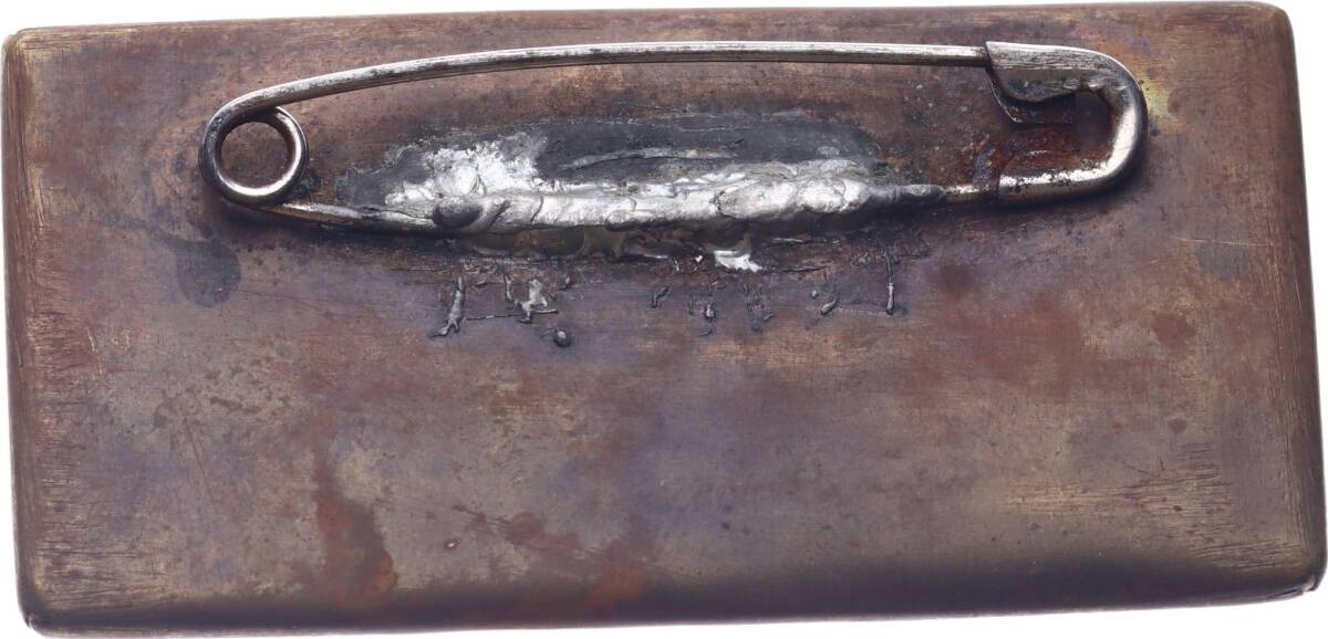 Sovyet Rusya Ordusu Şerit Rozet MVM2119 - 2