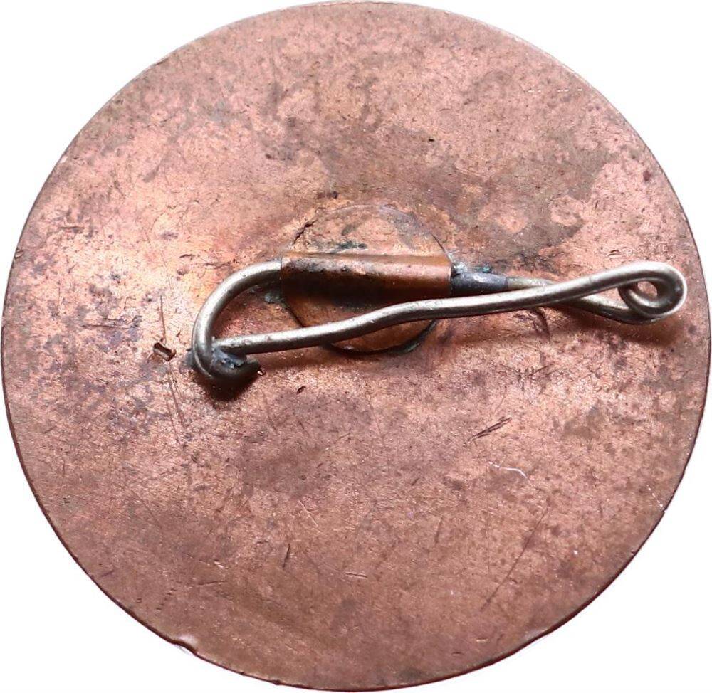 Sovyetler Birliği Rozet RZT1620 - 2