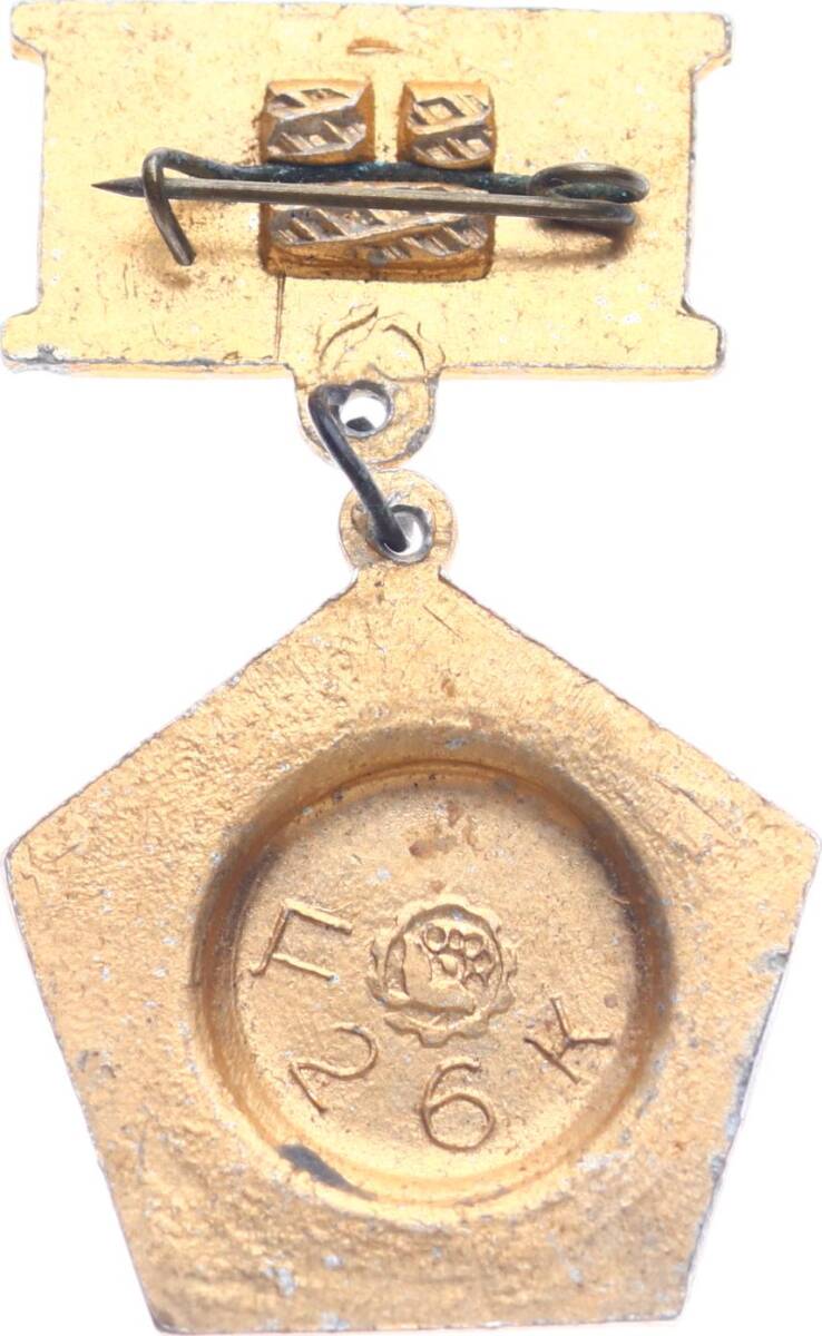 Sovyetler Birliği Vladimir Lenin Rozet RZT1701 - 2