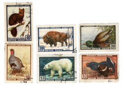 Sovyetler Birliği'nin Koruma Altındaki Canlıları: 1957 Tarihi Doğa ve Fauna Serisi PPT2838 - 