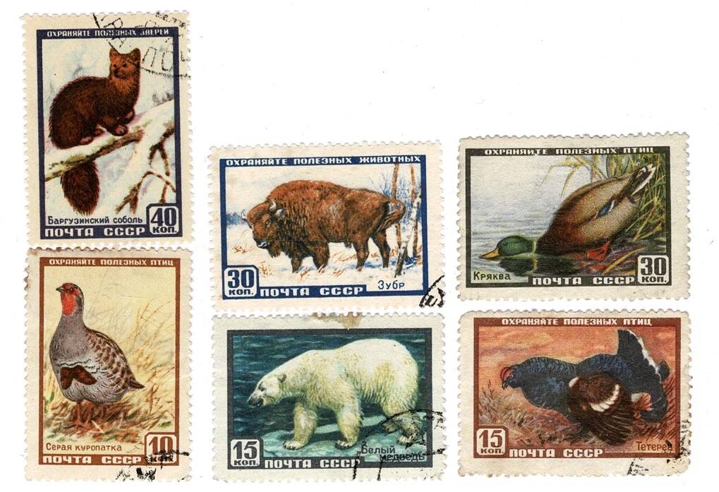 Sovyetler Birliği'nin Koruma Altındaki Canlıları: 1957 Tarihi Doğa ve Fauna Serisi PPT2838 - 1