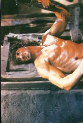 Stallone Küçük Boy Kartpostal (15x10 cm) KRT12983 - Gökçekoleksiyon