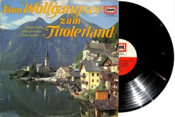 Vom Wolfgansee zum Tirolerland (Almanya Baskı) LP PLAK (10/8.5) PLK25953 - Gökçekoleksiyon