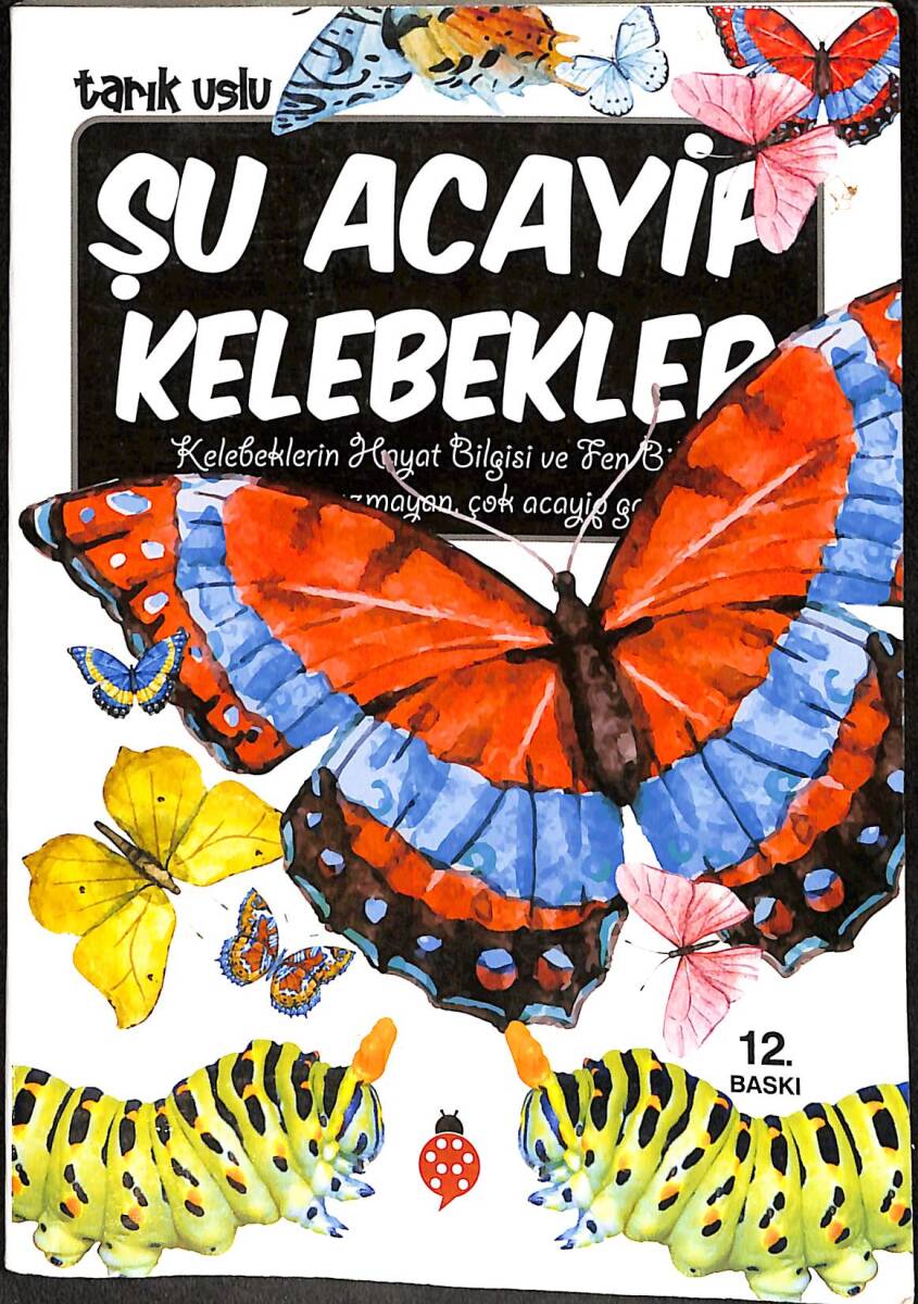 Şu Acayip Kelebekler NDR101071 - 1