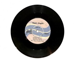 Rana Alagöz - Sensiz Hayat / Yumurcağın Öyküsü PLAK (10/7.5) PLK23829 - Gökçekoleksiyon