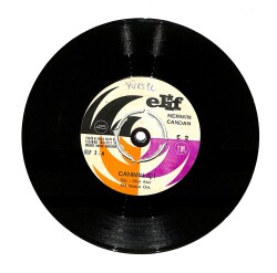 Nermin Candan - Canımın İçi / Hayat Mı Bu PLAK (10/7.5) PLK23928 - Gökçekoleksiyon