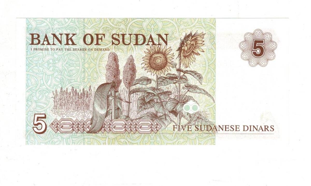 Sudan 5 Dinar 1993 Çil YKP8076 - 2