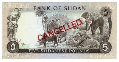 Sudan 5 Pound SPECIMEN 1970 Çil YKP2679 - 2