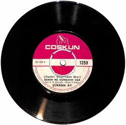 Şükran Ay - Benim Ne Günahım Var / Seni Sevdiğim İçin PLAK (10/6) PLK24826 - Gökçekoleksiyon