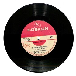 Şükran Ay - Sevmekten Kim Usanır Gözüm Sende İhanet Ettin Bana Ben Seni Unutmak İçin Sevmedim Aşkın Kanunu Kimi Dertten İçermiş Mini LP Plak (107.5) PLK21330 - Gökçekoleksiyon