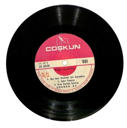 Şükran Ay - Sevmekten Kim Usanır Gözüm Sende İhanet Ettin Bana Ben Seni Unutmak İçin Sevmedim Aşkın Kanunu Kimi Dertten İçermiş Mini LP Plak (107.5) PLK21330 - 2