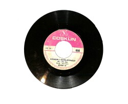 Şükran Ay – Kederli Günlerimde / Hancı Sarhoş Yolcu Sarhoş 45'lik Plak (10/7) PLK27024 - Gökçekoleksiyon