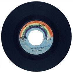 Sultan Genç - Şehit Askerin Nişanlısının Ağıdı (106) PLK10942 - 2
