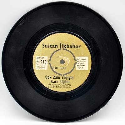 Sultan İlkbahar - Gelinlerin Çilesi PLAK (10/8) PLK2172 - 2