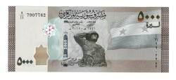 Suriye 5000 Pound 2019 ÇİL YKP6311 - Gökçekoleksiyon