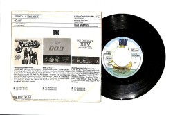 Suzi Quatro (1978) – If You Cant Give Me Love Cream Dream (109) PLK16020 - 2