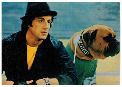 Sylvester Stallone Kartpostal KRT8084 - 1