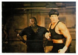 Sylvester Stallone Kartpostal KRT8086 - Gökçekoleksiyon